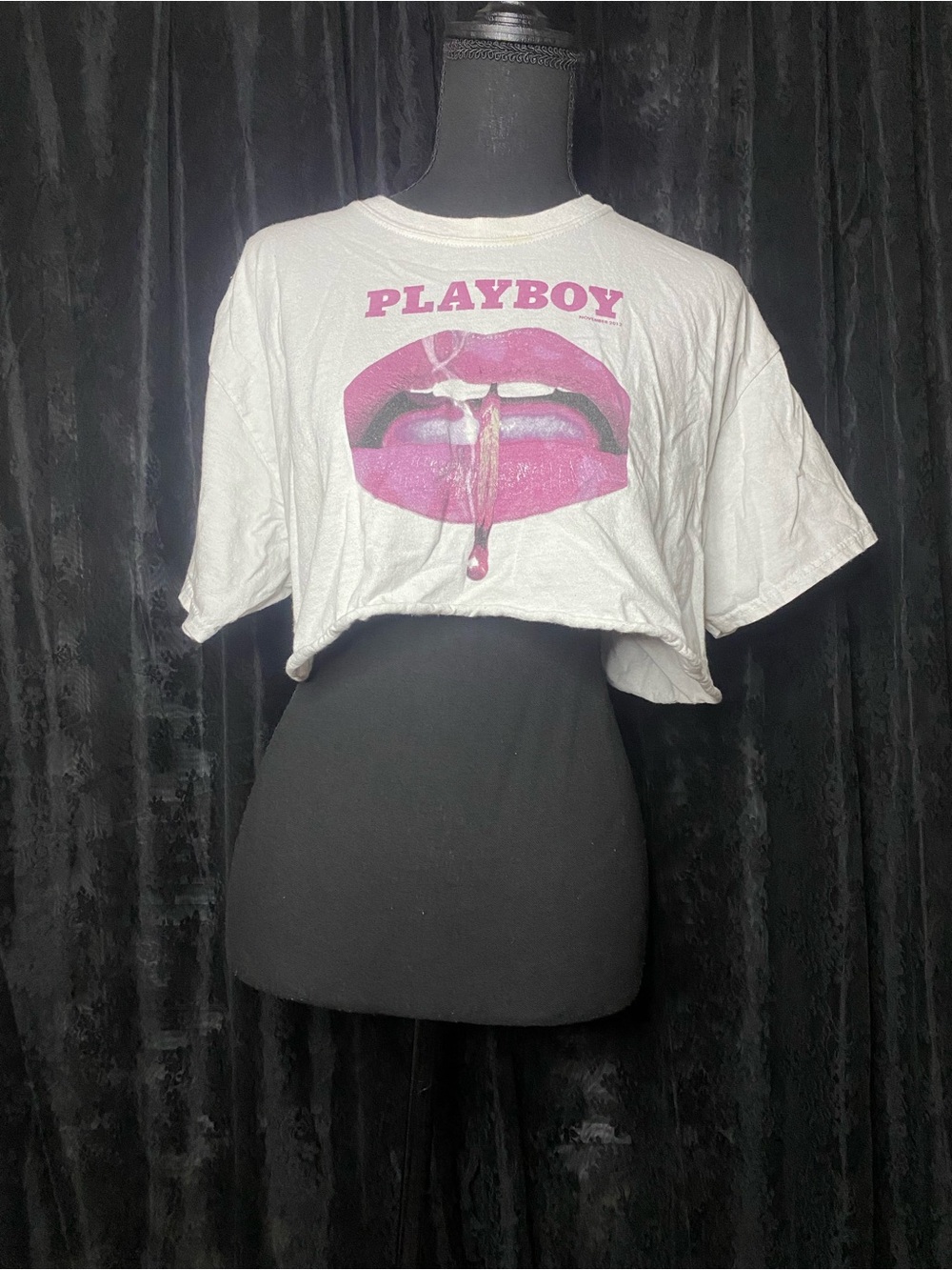 Y2K Playboy Crop Top